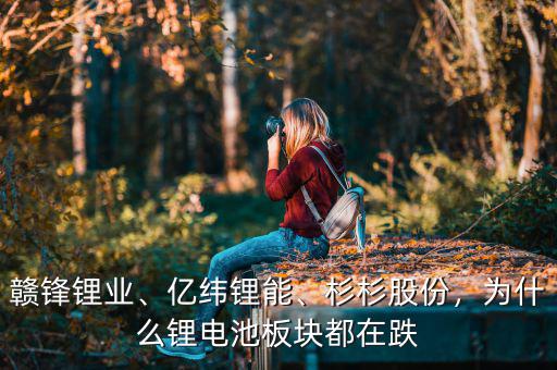 贛鋒鋰業(yè)、億緯鋰能、杉杉股份，為什么鋰電池板塊都在跌