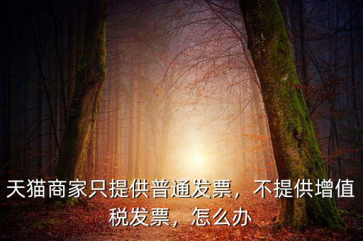 天貓商家只提供普通發(fā)票，不提供增值稅發(fā)票，怎么辦