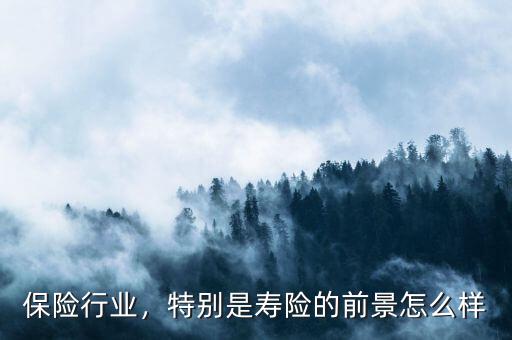 保險(xiǎn)行業(yè)，特別是壽險(xiǎn)的前景怎么樣