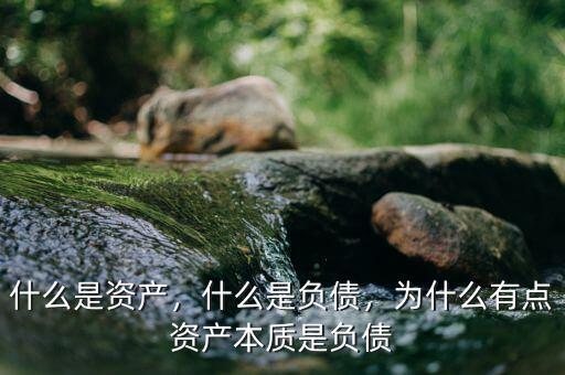 什么是資產(chǎn)，什么是負(fù)債，為什么有點(diǎn)資產(chǎn)本質(zhì)是負(fù)債