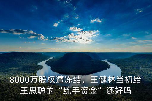 8000萬(wàn)股權(quán)遭凍結(jié)，王健林當(dāng)初給王思聰?shù)摹熬毷仲Y金”還好嗎