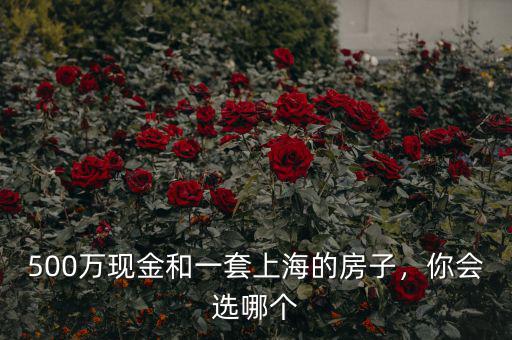 500萬(wàn)現(xiàn)金和一套上海的房子，你會(huì)選哪個(gè)