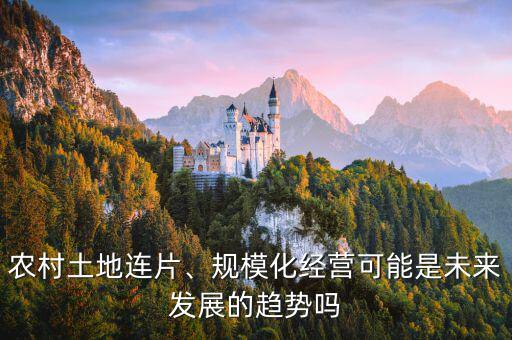 農(nóng)村土地連片、規(guī)模化經(jīng)營(yíng)可能是未來發(fā)展的趨勢(shì)嗎