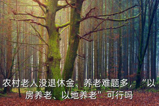 農(nóng)村老人沒(méi)退休金、養(yǎng)老難題多，“以房養(yǎng)老、以地養(yǎng)老”可行嗎