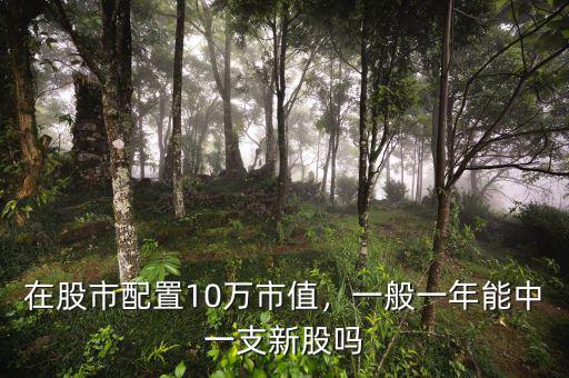 在股市配置10萬市值，一般一年能中一支新股嗎