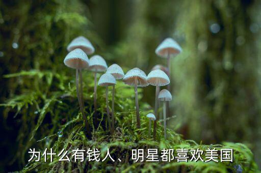 為什么有錢人、明星都喜歡美國