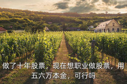 做了十年股票，現(xiàn)在想職業(yè)做股票，用五六萬本金，可行嗎