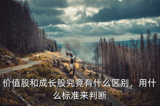 價(jià)值股和成長(zhǎng)股究竟有什么區(qū)別，用什么標(biāo)準(zhǔn)來(lái)判斷