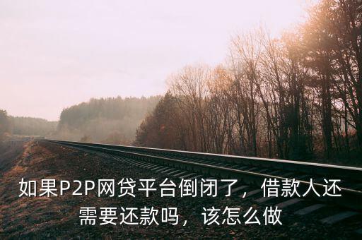 如果P2P網(wǎng)貸平臺(tái)倒閉了，借款人還需要還款嗎，該怎么做