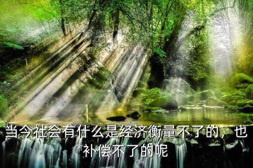 當(dāng)今社會(huì)有什么是經(jīng)濟(jì)衡量不了的，也補(bǔ)償不了的呢