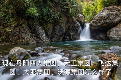 現(xiàn)在丹陽(yáng)四大集團(tuán)，天工集團(tuán)、飛達(dá)集團(tuán)、大亞集團(tuán)、沃德集團(tuán)怎么樣了
