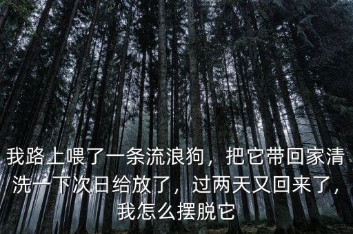 我路上喂了一條流浪狗，把它帶回家清洗一下次日給放了，過兩天又回來了，我怎么擺脫它