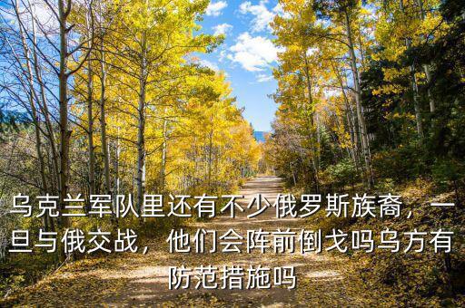烏克蘭軍隊(duì)里還有不少俄羅斯族裔，一旦與俄交戰(zhàn)，他們會(huì)陣前倒戈嗎烏方有防范措施嗎