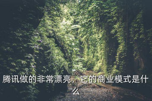騰訊做的非常漂亮，它的商業(yè)模式是什么