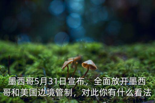 墨西哥5月31日宣布，全面放開墨西哥和美國(guó)邊境管制，對(duì)此你有什么看法