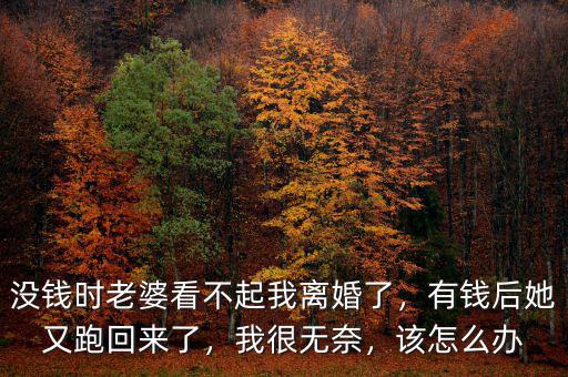 沒錢時老婆看不起我離婚了，有錢后她又跑回來了，我很無奈，該怎么辦