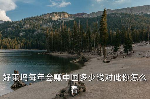 中國外國公司每年掙多少錢,好萊塢每年會(huì)賺中國多少錢