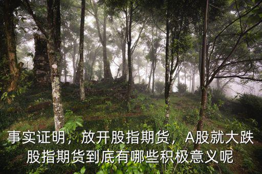 事實(shí)證明，放開股指期貨，A股就大跌股指期貨到底有哪些積極意義呢