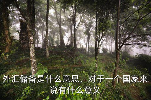 外匯儲備是什么意思，對于一個國家來說有什么意義