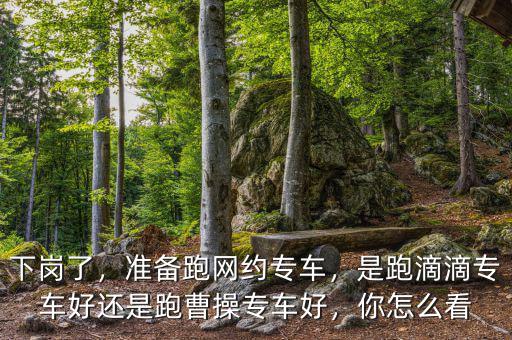 下崗了，準備跑網約專車，是跑滴滴專車好還是跑曹操專車好，你怎么看
