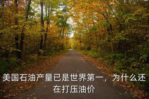 美國石油產(chǎn)量已是世界第一，為什么還在打壓油價(jià)