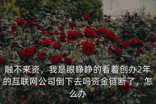 融不來資，我是眼睜睜的看著創(chuàng)辦2年的互聯(lián)網(wǎng)公司倒下去嗎資金鏈斷了，怎么辦