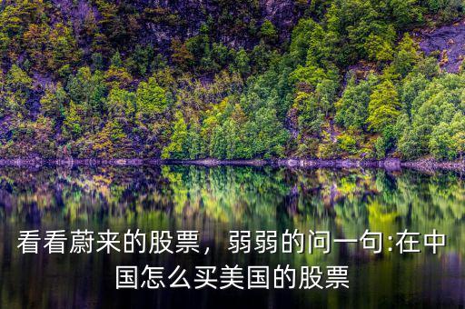 看看蔚來的股票，弱弱的問一句:在中國怎么買美國的股票