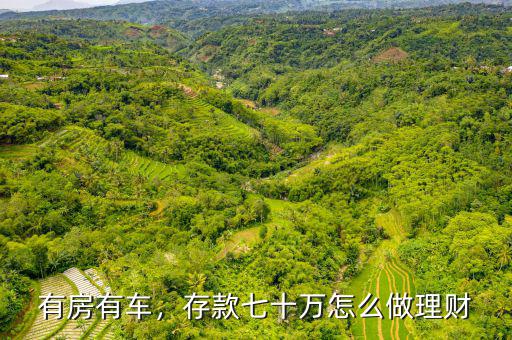 有房有車，存款七十萬(wàn)怎么做理財(cái)