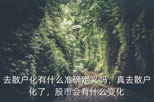 去散戶化有什么準確定義嗎，真去散戶化了，股市會有什么變化