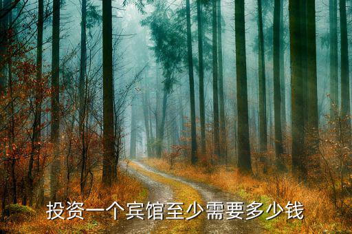 王一虹投資多少錢(qián),想知道多少錢(qián)適合