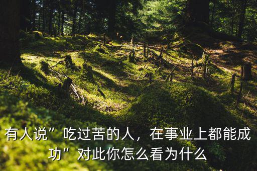 有人說”吃過苦的人，在事業(yè)上都能成功”對(duì)此你怎么看為什么