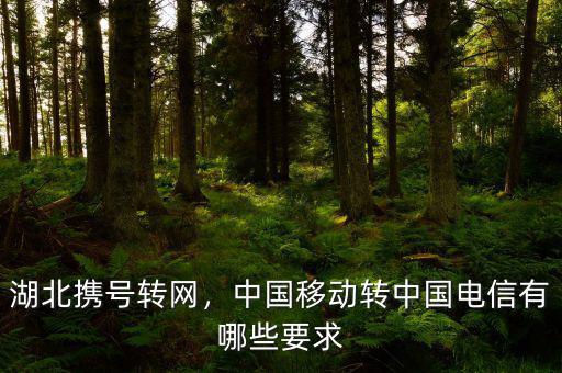 湖北攜號(hào)轉(zhuǎn)網(wǎng)，中國移動(dòng)轉(zhuǎn)中國電信有哪些要求