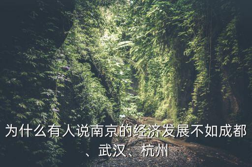 為什么有人說南京的經(jīng)濟發(fā)展不如成都、武漢、杭州