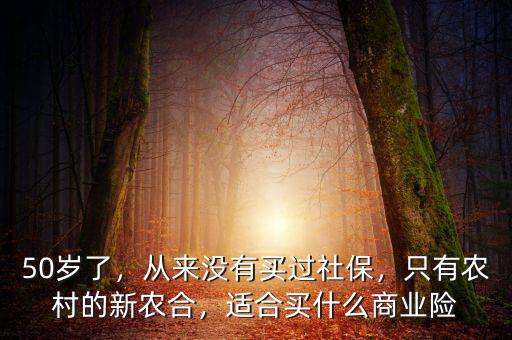 50歲了，從來沒有買過社保，只有農(nóng)村的新農(nóng)合，適合買什么商業(yè)險