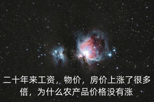 二十年來(lái)工資，物價(jià)，房?jī)r(jià)上漲了很多倍，為什么農(nóng)產(chǎn)品價(jià)格沒(méi)有漲