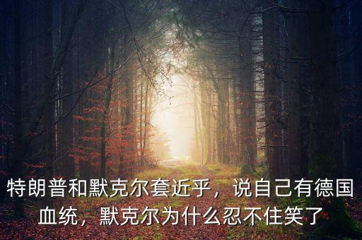 特朗普和默克爾套近乎，說自己有德國(guó)血統(tǒng)，默克爾為什么忍不住笑了