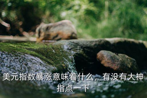 美元指數(shù)暴漲意味著什么，有沒有大神指點一下