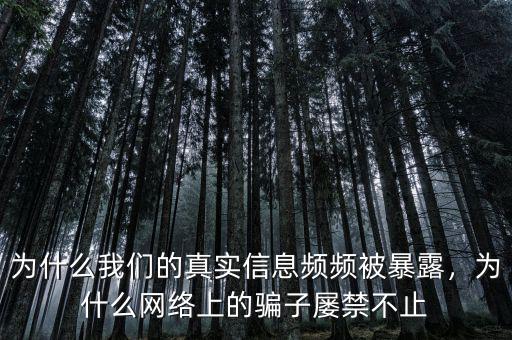 為什么我們的真實(shí)信息頻頻被暴露，為什么網(wǎng)絡(luò)上的騙子屢禁不止