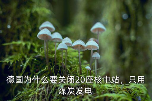 德國為什么要關閉20座核電站，只用煤炭發(fā)電