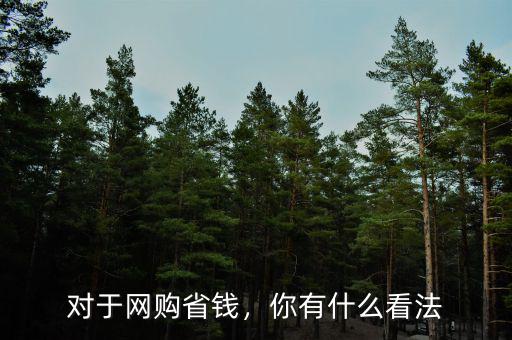 對(duì)于網(wǎng)購(gòu)省錢(qián)，你有什么看法