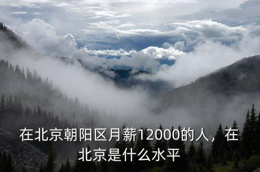 在北京朝陽區(qū)月薪12000的人，在北京是什么水平