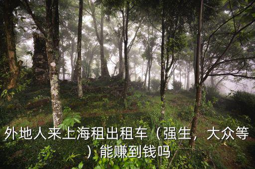 外地人來上海租出租車（強生，大眾等）能賺到錢嗎
