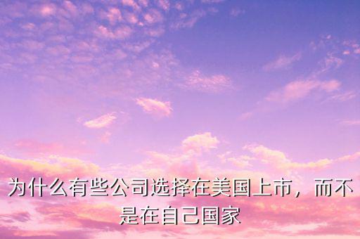 為什么有些公司選擇在美國上市，而不是在自己國家