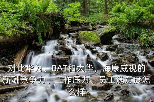 桐廬?？低曉趺礃?員工滿(mǎn)意度怎么樣