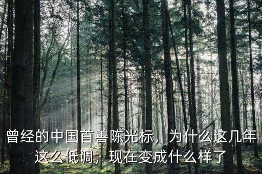 曾經(jīng)的中國首善陳光標(biāo)，為什么這幾年這么低調(diào)，現(xiàn)在變成什么樣了