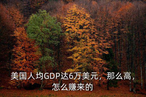 美國人均GDP達(dá)6萬美元，那么高，怎么賺來的