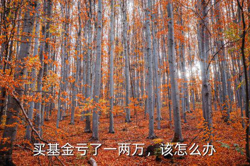 買基金虧了一兩萬，該怎么辦