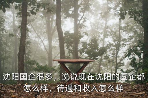 沈陽國企很多，說說現(xiàn)在沈陽的國企都怎么樣，待遇和收入怎么樣