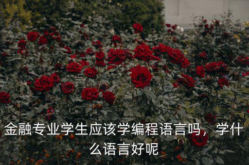 金融專業(yè)學(xué)生應(yīng)該學(xué)編程語言嗎，學(xué)什么語言好呢