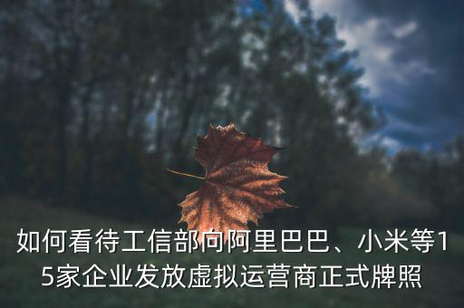 如何看待工信部向阿里巴巴、小米等15家企業(yè)發(fā)放虛擬運營商正式牌照